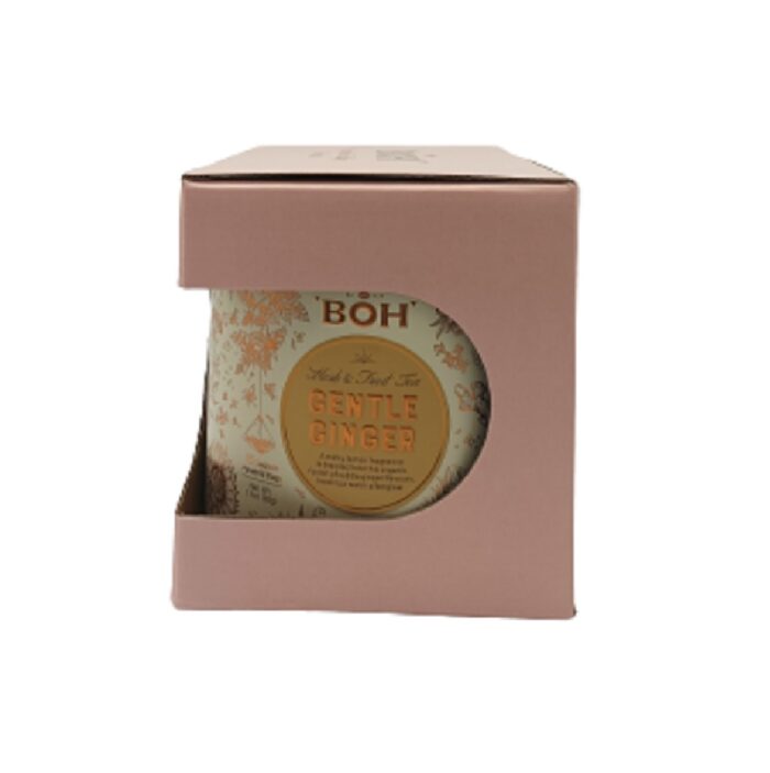 BOH Pyramid Teabags Gentle Ginger
