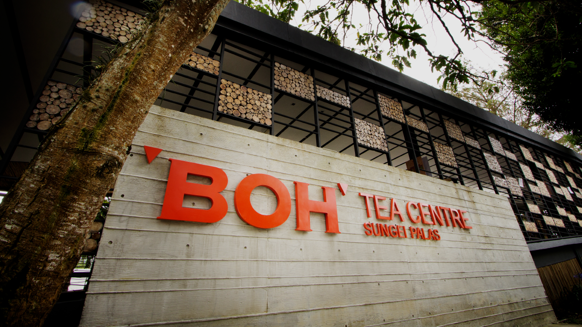 History of Cameron Highlands - boh tea centre