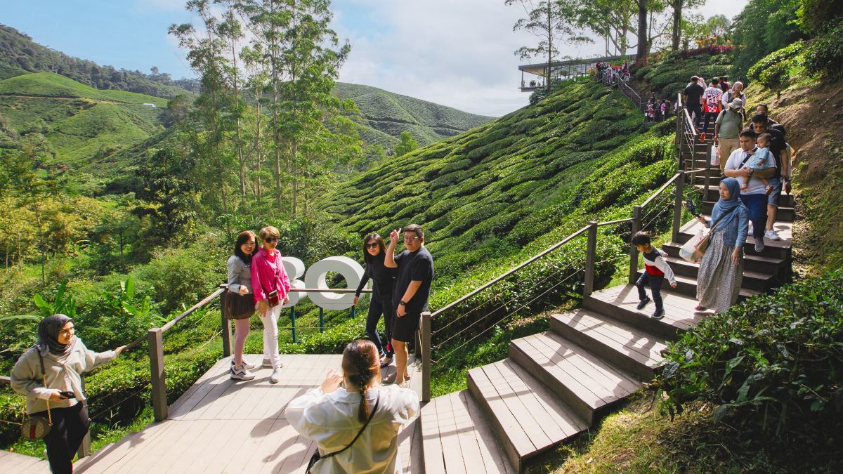 tourist attraction in Cameron Highlands