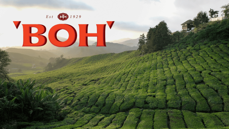 BOH Tea Tips for Brewing Your Best Cup