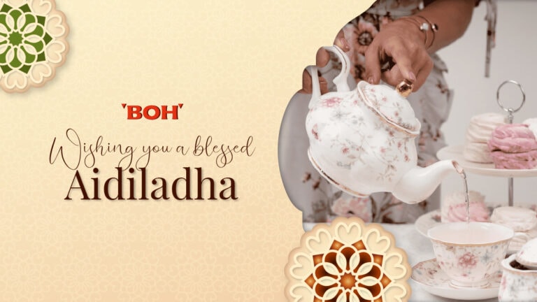 01 Aidiladha