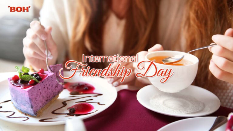 02 FriendshipDay