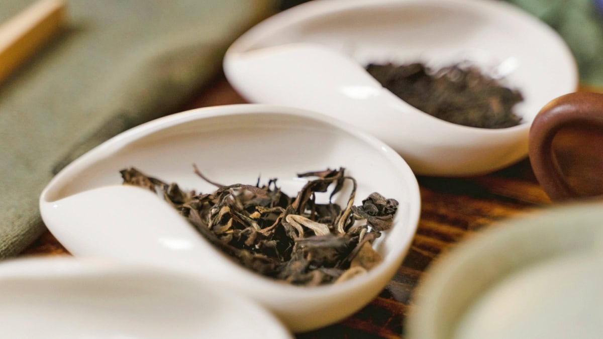 Health Benefits of Tea