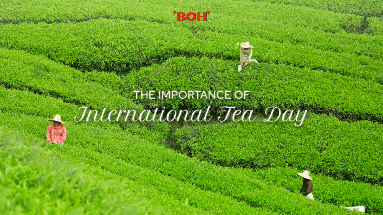 Importance of International Tea Day