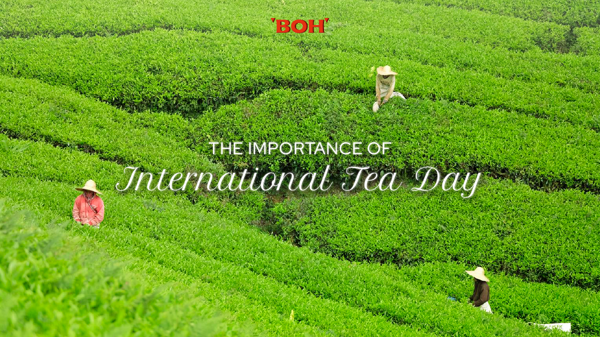 Importance of International Tea Day