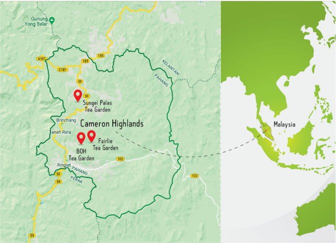 map of cameron highlands