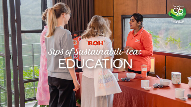 Sips of Sustainabili-tea: Education