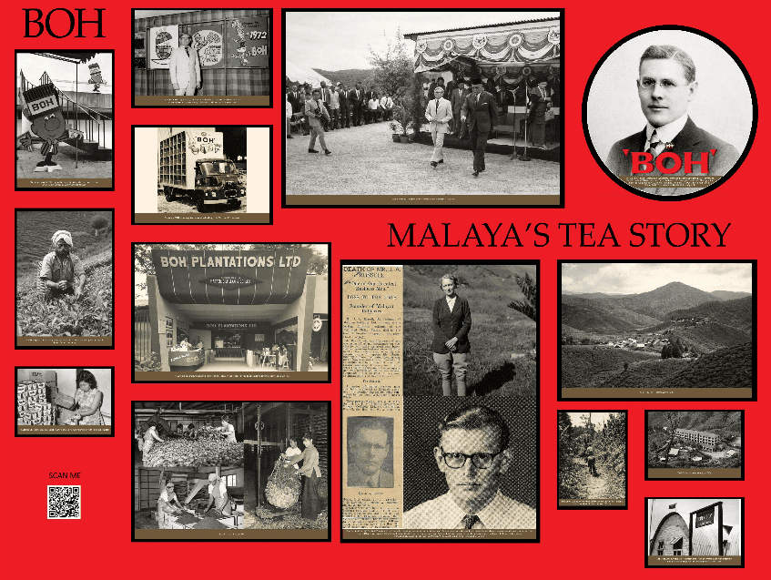 boh malaya's tea story