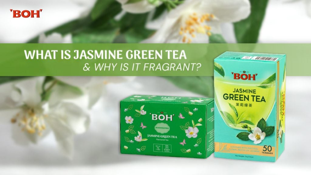01 What Is Jasmine Green Tea
